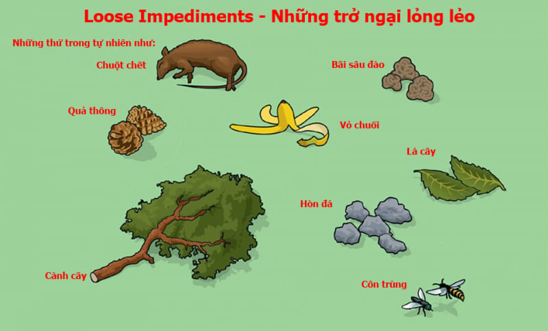 Vật thể tự nhiên rời