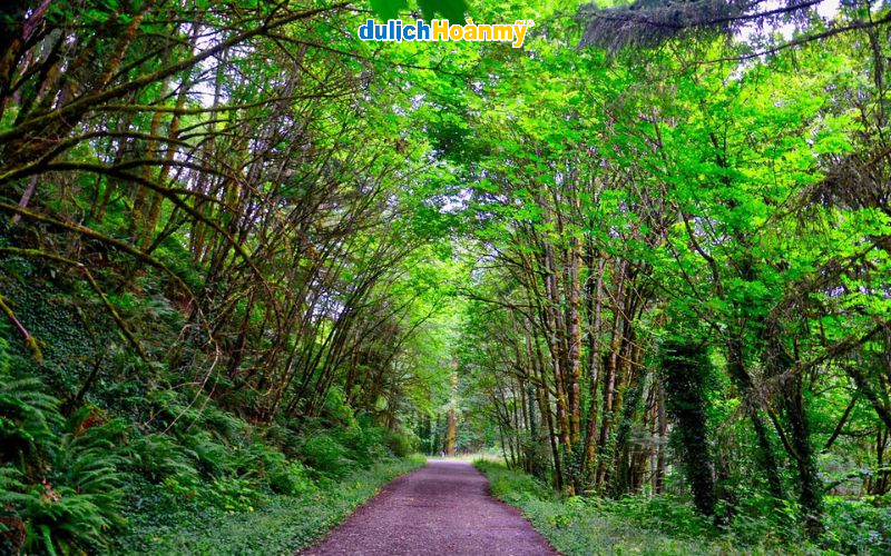 Công viên Forest - khu rừng đô thị lớn nhất nước Mỹ