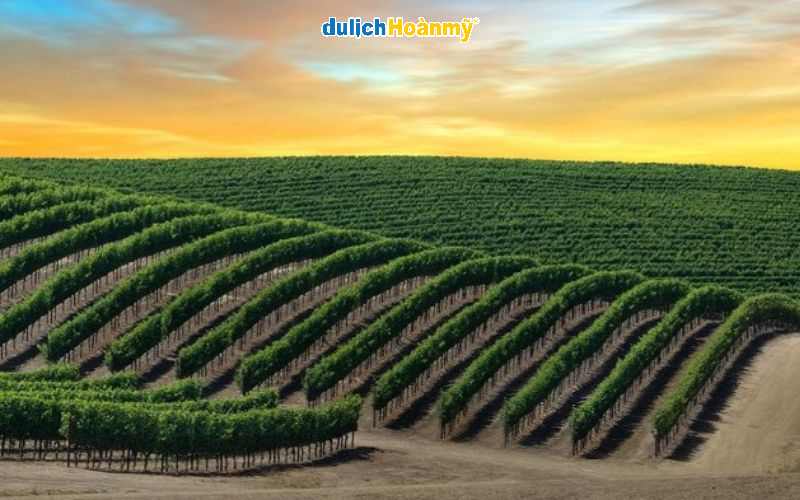 Thung lũng Napa - trung tâm sản xuất rượu vang hàng đầu của Hoa Kỳ
