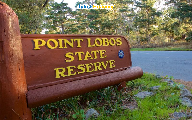 Khu bảo tồn Point Lobos nằm ở phía bắc của Big Sur