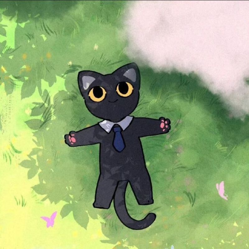 mèo heinz anime chill