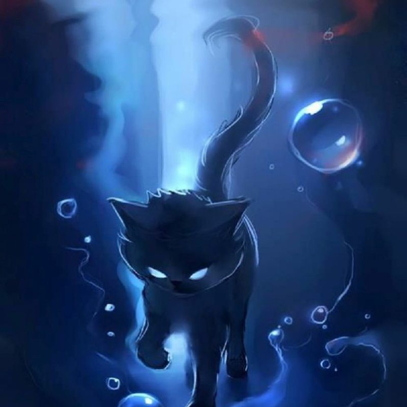 mèo đen anime ngầu