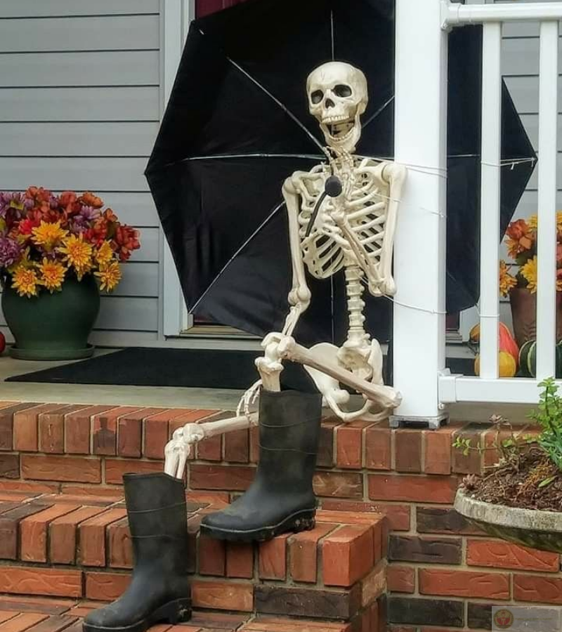 Skeleton ngồi trước cửa với thần thái ngút ngàn