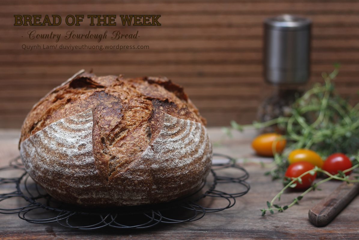 Country Sourdough Bread – Chiếc bánh mì chua đồng quê bình dị – Dư vị yêu thương