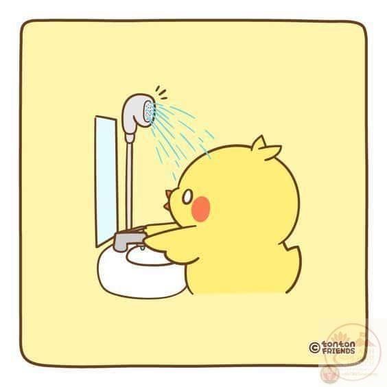 Bộ sưu tập 80+ ảnh Meme Gà cute dễ thương ai nhìn cũng bật cười
