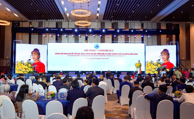 Tiến sĩ Nguyễn Thị Phương Thảo và hành trình 20 năm cùng Đà Nẵng- Ảnh 4.