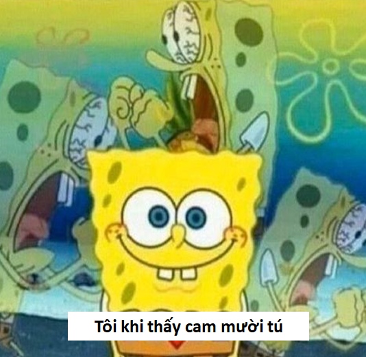ảnh chế sẽ gầy hài