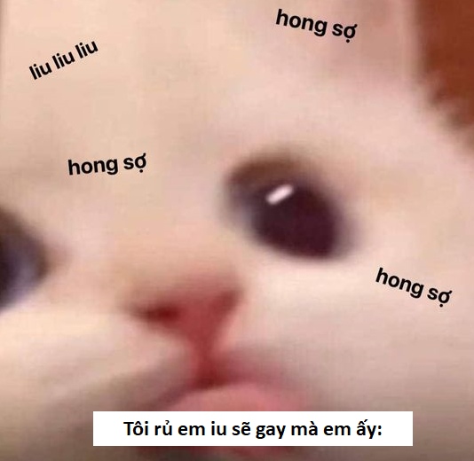 chế ảnh sẽ gầy
