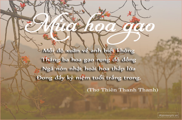 tho ngan ve hoa gao