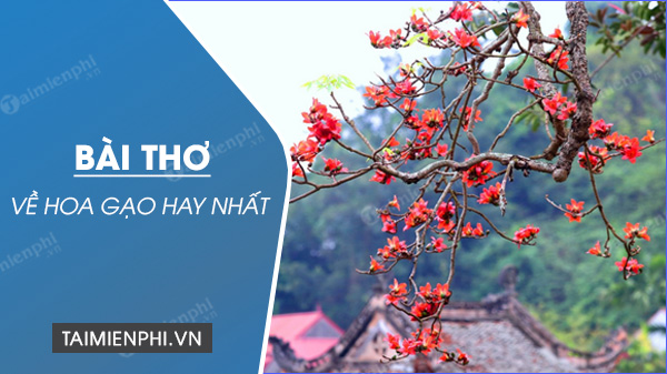 Thơ về hoa Gạo nở tháng ba hay, ý nghĩa nhất