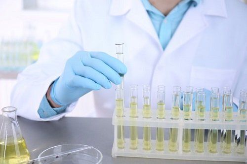 Xét nghiệm nước tiểu giúp bác sĩ xác định được tỉ lệ vi khuẩn, máu, mủ lẫn trong nước tiểu