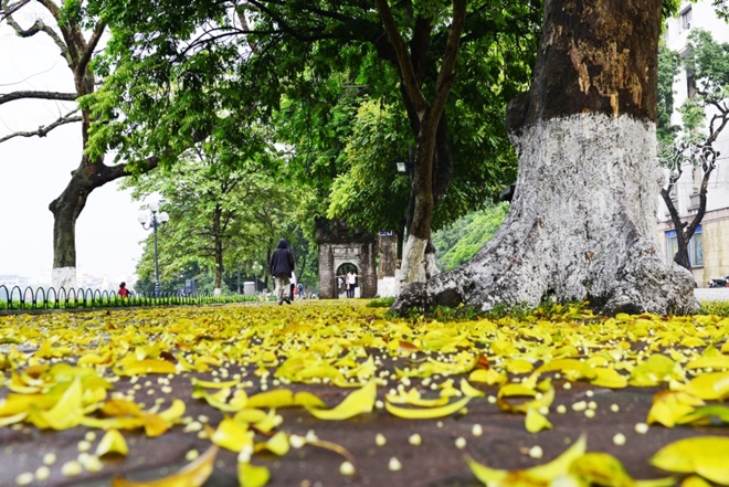 Mùa thu trong tôi là vậy đó