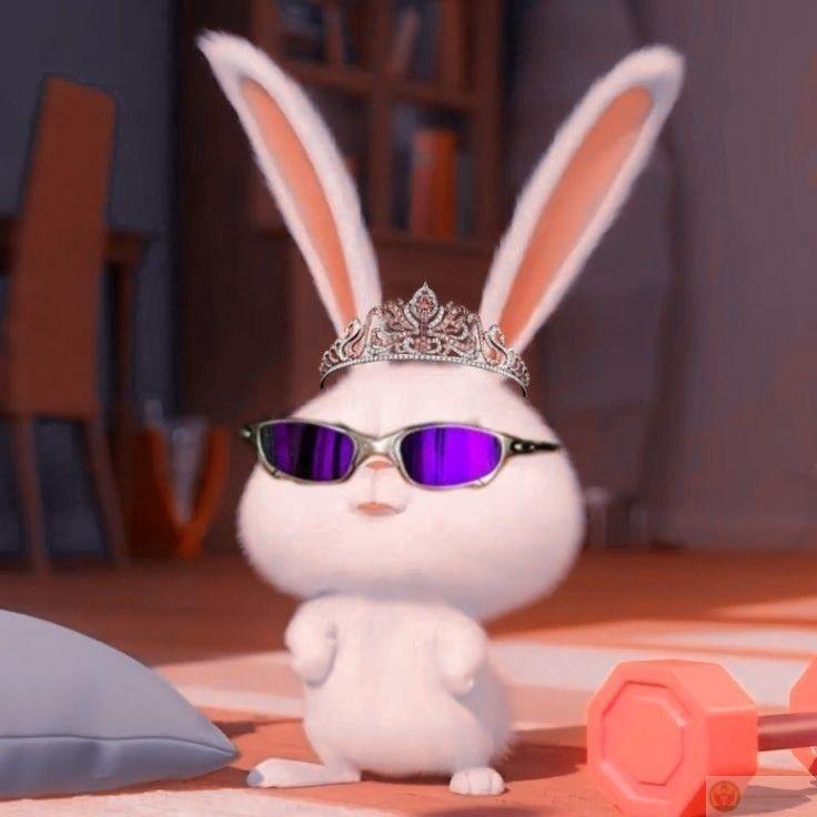 Dáng đứng dành riêng cho những người lý trí
