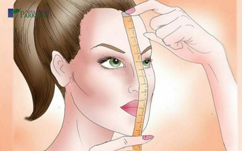 Các kiểu khuôn mặt phổ biến - 11