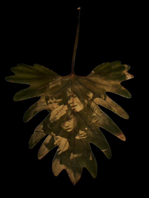 Memories Lost and Found: On the Photography of Binh Danh