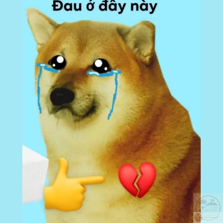 Một tấm ảnh chế gợi tả cảm giác đau trong lòng, khó giãi bày cùng ai