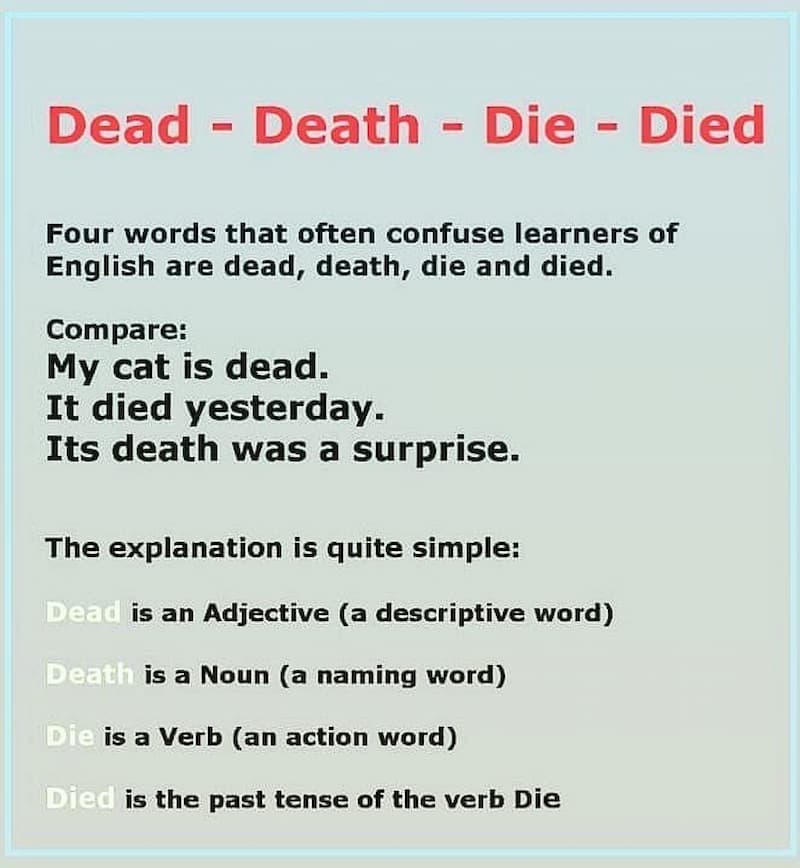 Phân biệt Die - Died - Dead - Death trong tiếng anh. (Ảnh: Internet)