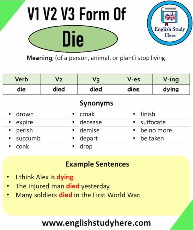 Danh từ của Die là gì ? Cách dùng và Word Form của Die trong tiếng anh