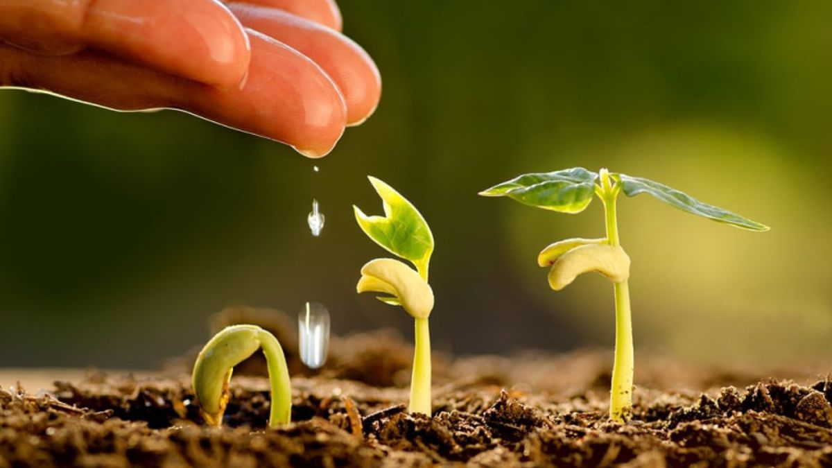 Thơ lục bát về cuộc sống