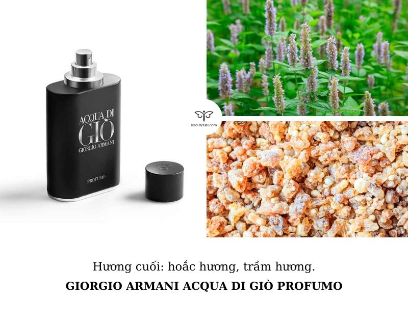 gio-den