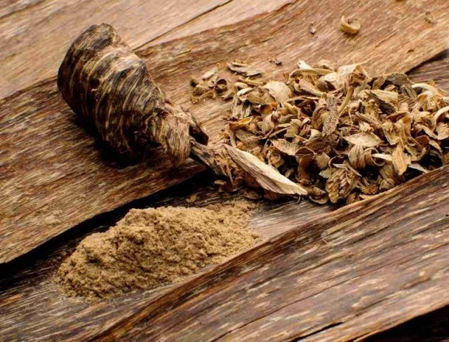 Top 10+ gỗ có mùi thơm đặc trưng tại Việt Nam và cách nhận biết