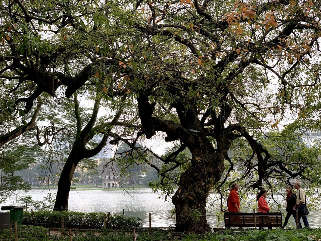 Người Hà Nội, Tết và Hồ Gươm