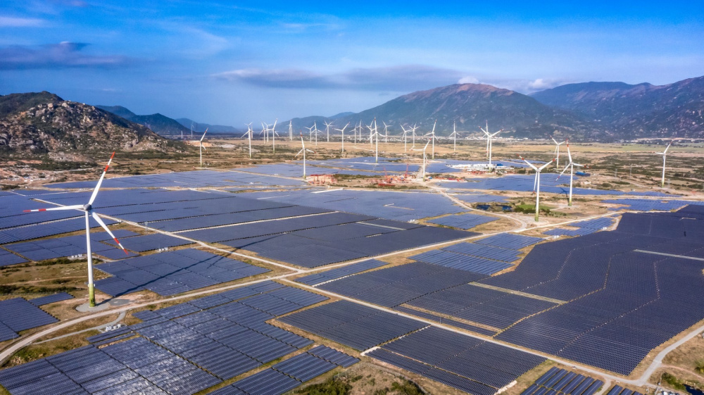 Tại Ninh Thuận, các tua bin điện gió lại được bao bọc bởi những cánh đồng lúa bao la, vàng rộm.