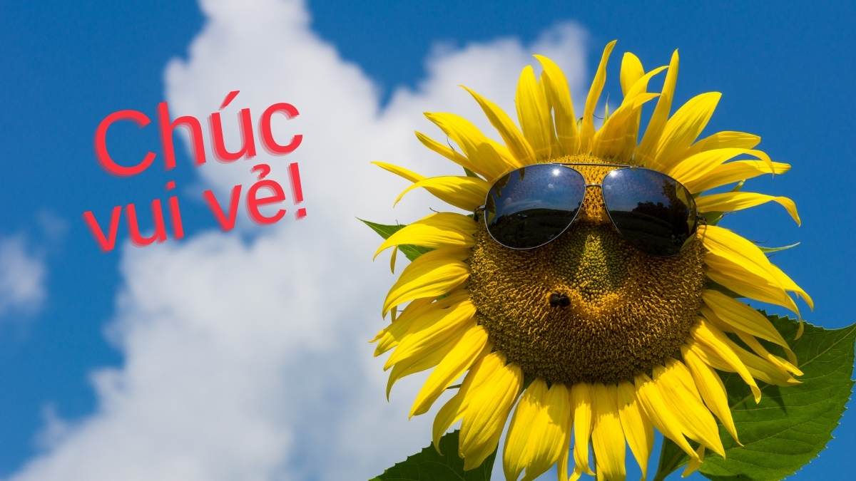 Hình ảnh chúc ngày mới vui vẻ tươi xinh