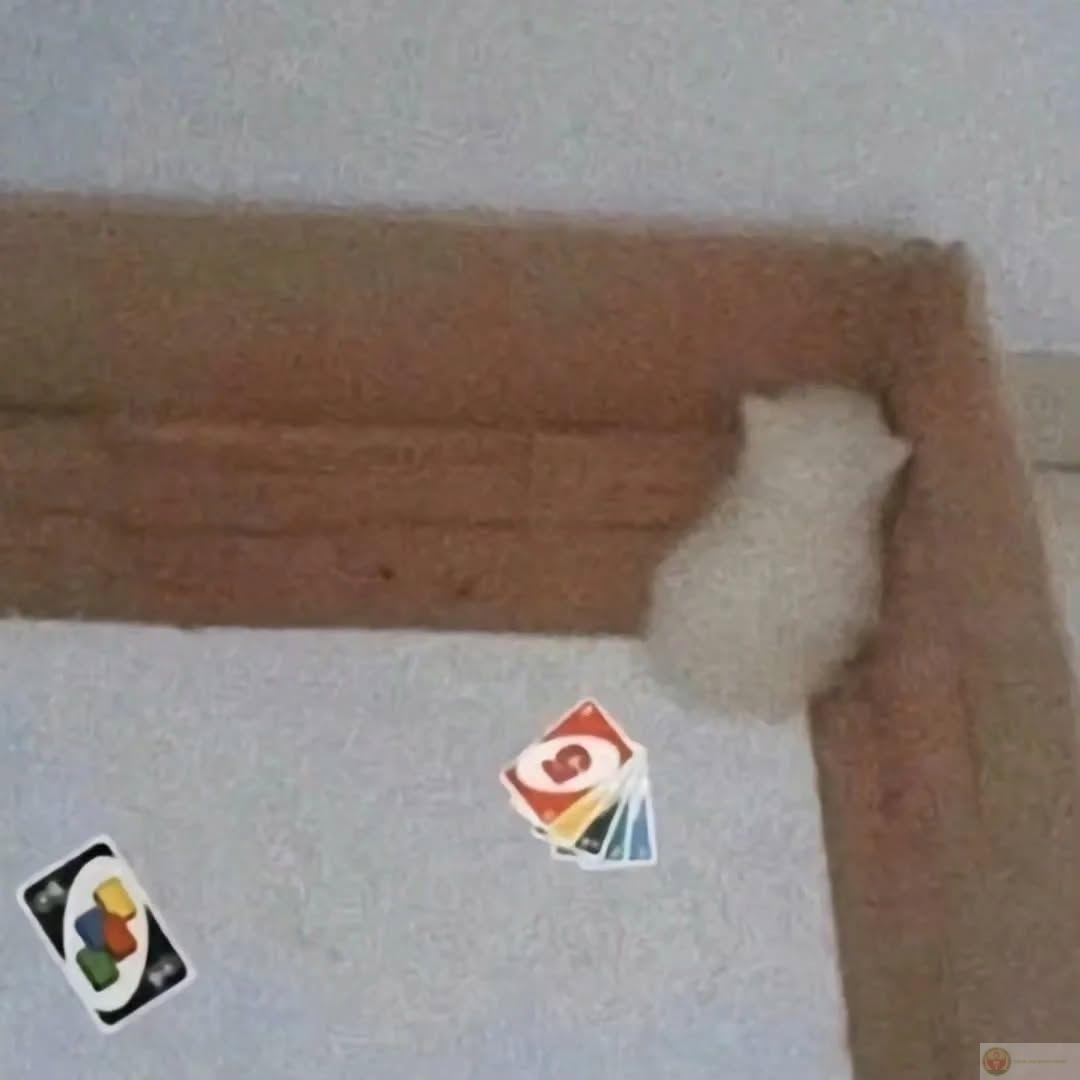 Uno meme độc đáo cho thấy sức sáng tạo của cộng đồng mạng là vô hạn