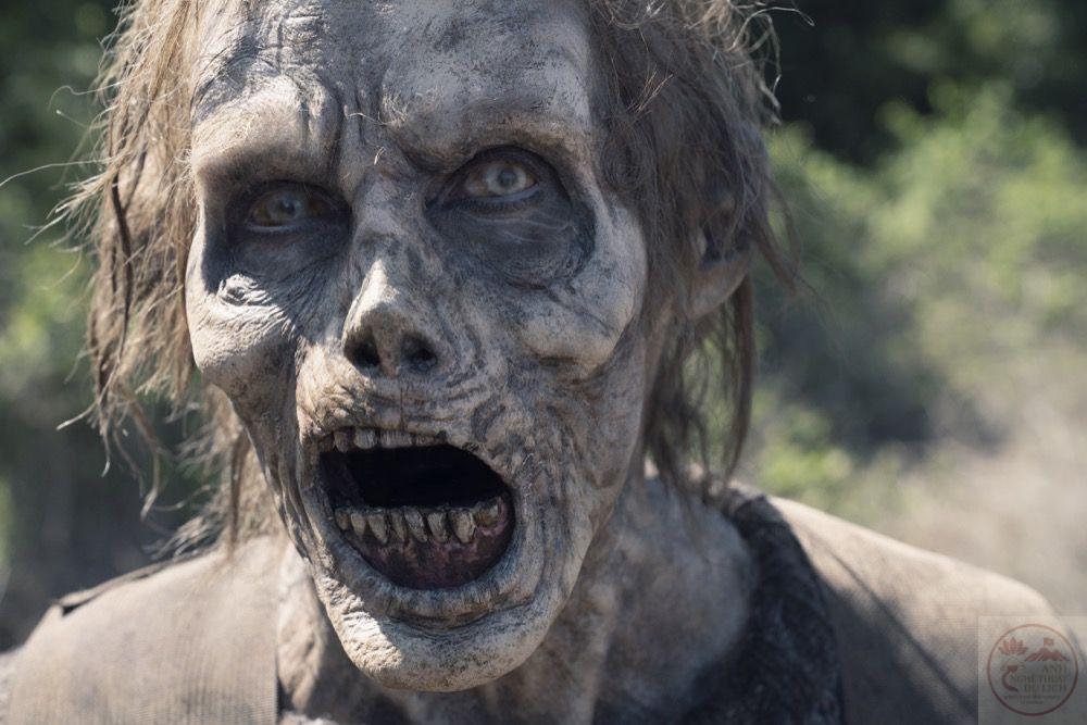 Hình ảnh zombie thường gắn liền với sự hoang tàn và bầu không khí kinh dị