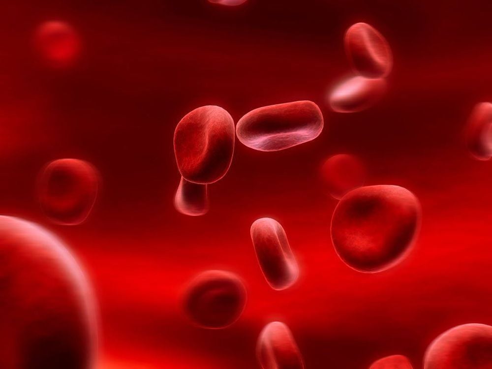 Ảnh hưởng của thiếu máu hồng cầu nhỏ nhược sắc