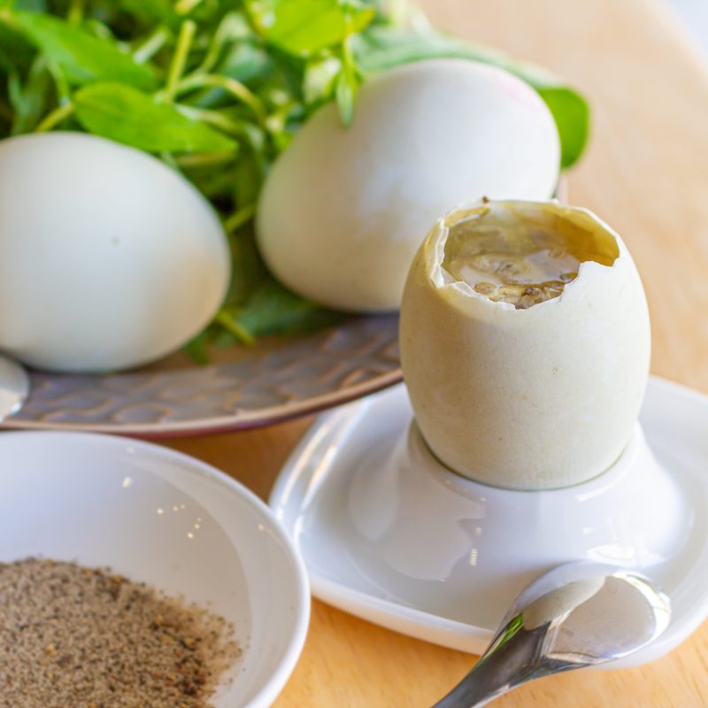 Balut – Hột Vịt Lộn (How to Cook and Eat)