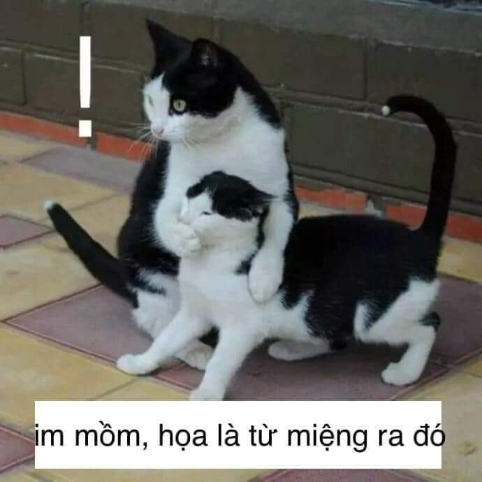 Một phút im lặng, đỡ tổn thương mọi người
