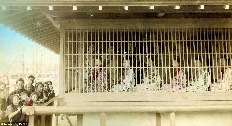 Bộ ảnh cực chân thật về cuộc sống của kĩ nữ Nhật thời xưa