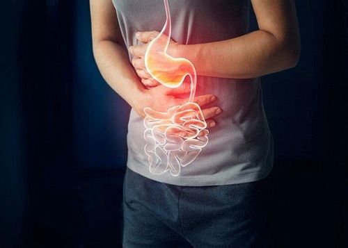Ăn rau kinh giới có tác dụng gì?