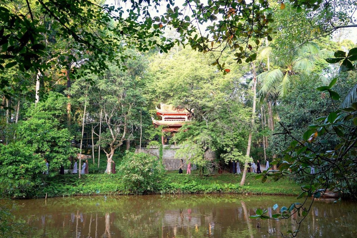 Lá rụng về cội