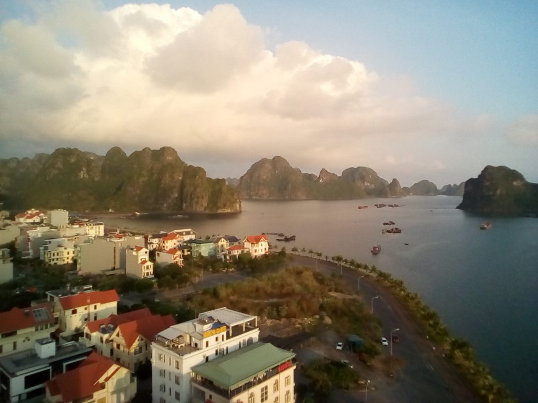 The health of Ha Long Bay