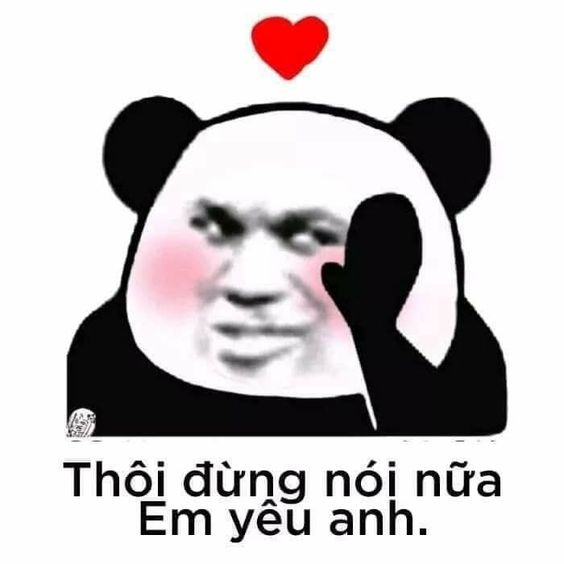 Gấu trúc không lạnh lùng, chỉ là ngại phát cẩu lương