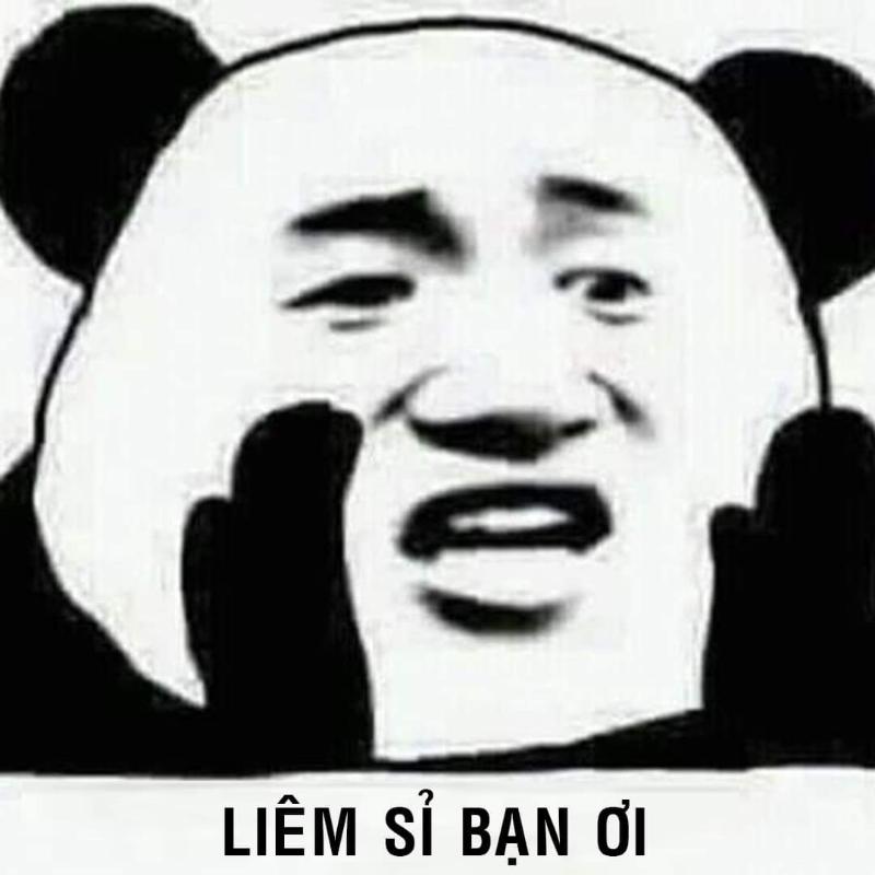 Gấu trúc muốn yên bình, không muốn đối đầu nữa
