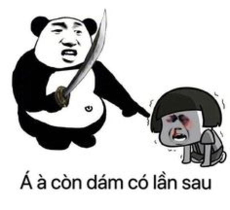 Gấu trúc sẵn sàng tha thứ, nhưng không làm lại
