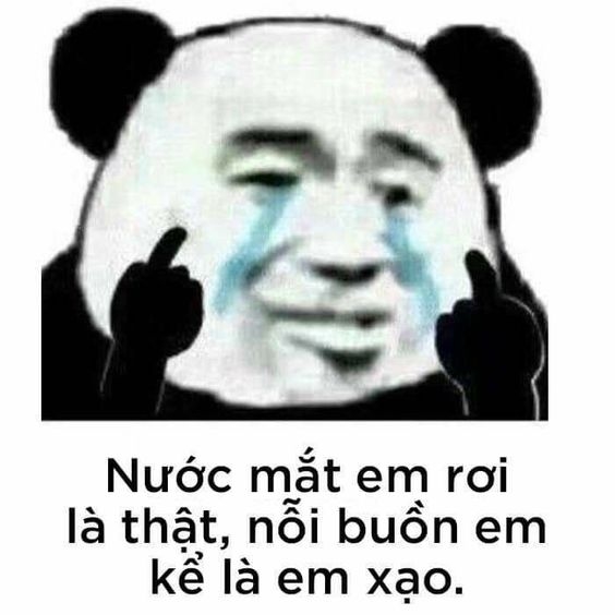 Hãy dịu dàng với gấu trúc, vì meme đã đủ sát thương