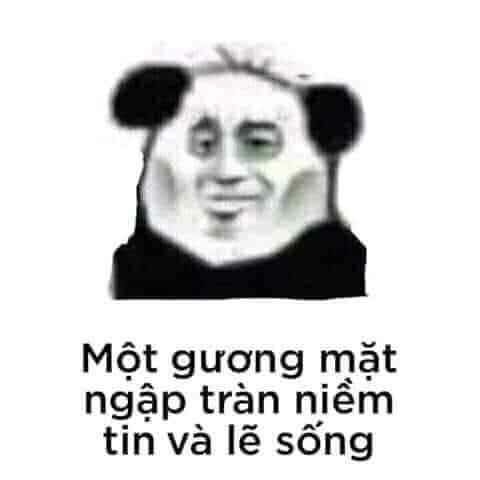 Tui không nhạt, chỉ là người ta không hiểu vị