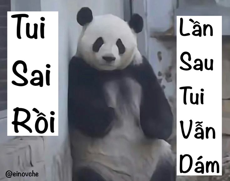 Tui không muốn nổi điên, nhưng cứ bị ép hoài