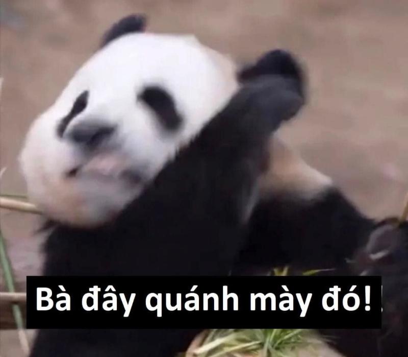 Ai thương thì ở lại, ai mệt thì đi nghỉ