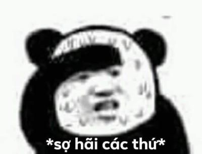Cảm ơn đời mỗi sớm mai cho gấu trúc... sống sót