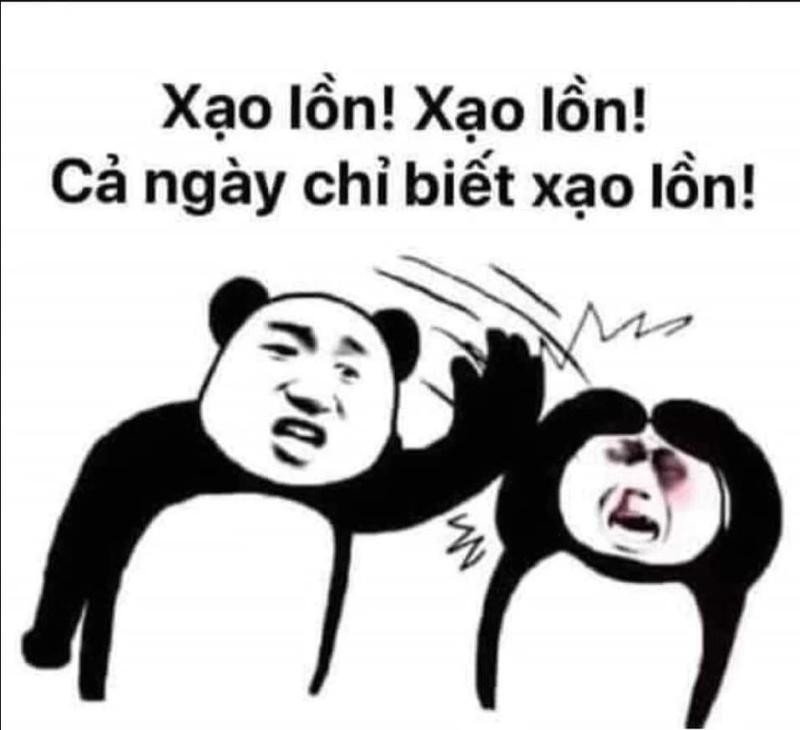 Có vẻ đáng sợ, nhưng gấu trúc biết lắng nghe