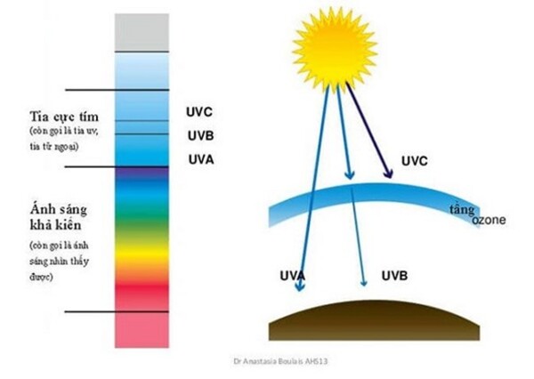 trong-kinh-chong-tia-uv-1