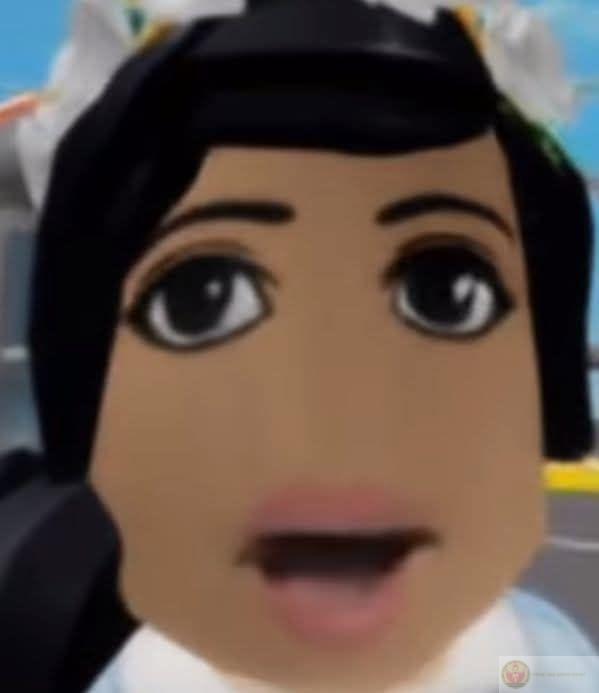 Ảnh Roblox meme