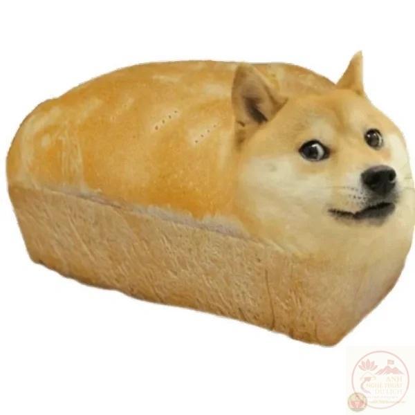 meme Shiba (27)