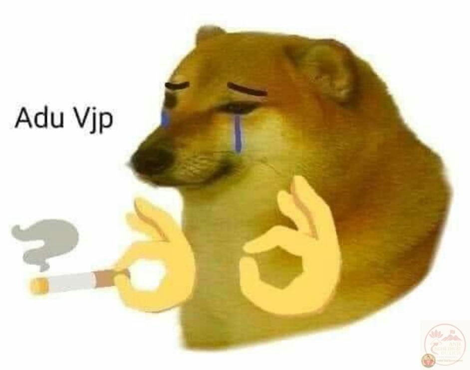 Chú chó Cheems meme: biểu tượng hài hước của Internet